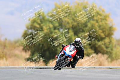 media/May-15-2022-SoCal Trackdays (Sun) [[33a09aef31]]/Turn 7 (1145am)/